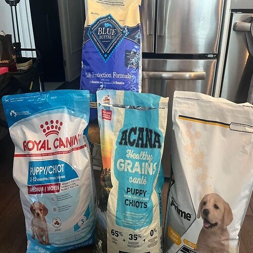 All Puppy Dry Food