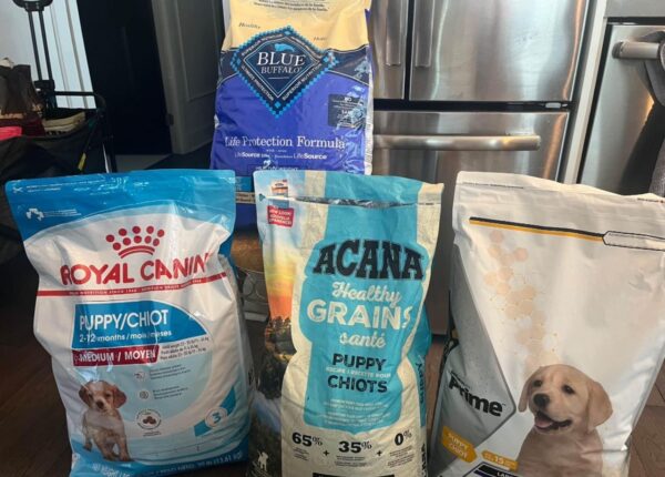 All Puppy Dry Food - Image 2