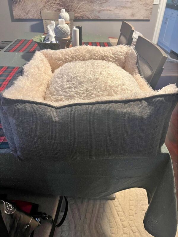 Puppy Dog Bed - Image 5