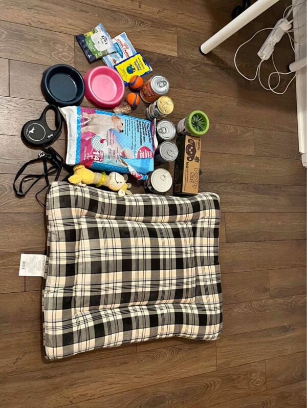 Puppy Starter Kit with Essentials - Image 2